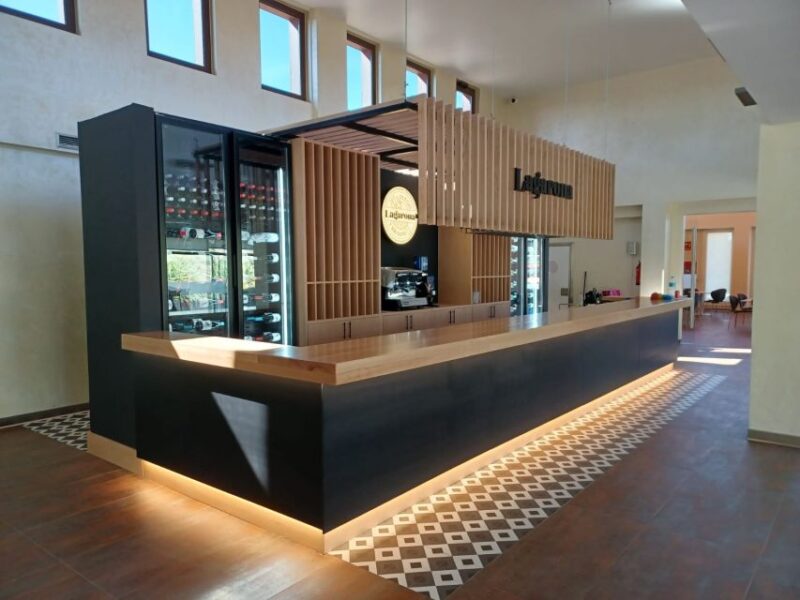 Toro: Piedra Winery Tour & Oak Barrel Tastings - Location and Vineyard Details