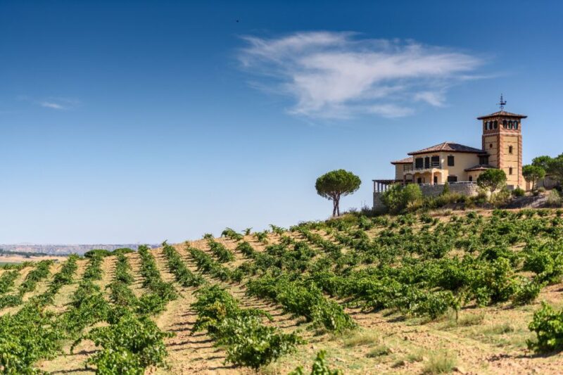 Toro: Piedra Winery Tour & Oak Barrel Tastings - Winemaking Experience