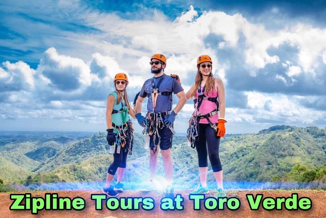 Toro Verde 7-Zipline Tour Plus the Beast With Pickup - Professional Guide Assistance
