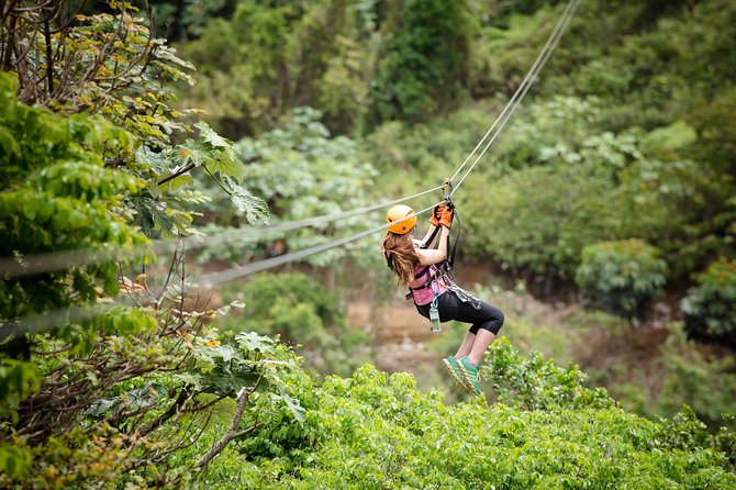 Toro Verde 7-Zipline Tour Plus the Beast With Pickup - Duration and Transportation