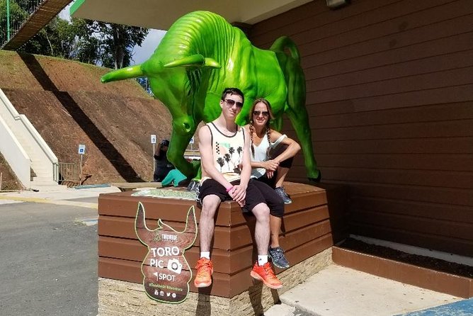 Toro Verde 7-Zipline Tour Plus the Monster With Transport - Recommendations