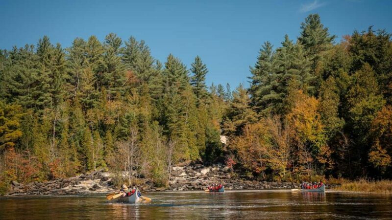 Toronto: Algonquin Park and Ragged Falls Day Trip - Authentic Experiences and Real Trip Highlights