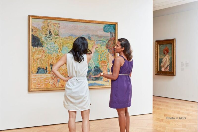 Toronto: Art Gallery of Ontario General Admission Ticket - Accessibility and Visitor Experience