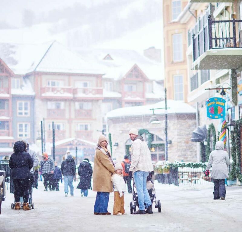 Toronto: Blue Mountain Ski & Snowboard Shuttle Day Trip - Transportation & Practical Tips