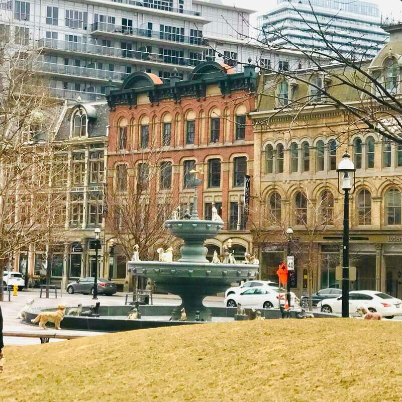 Toronto: City Walking Tour - Who Should Consider This Tour?