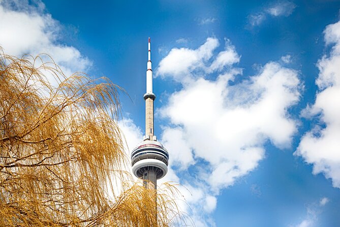 Toronto Downtown and Highlights Walking Tours - Highlights of the City