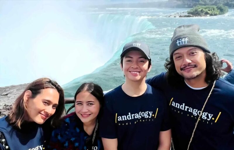 Toronto: Guided Niagara Falls Day Trip With Optional Cruise - Key Points
