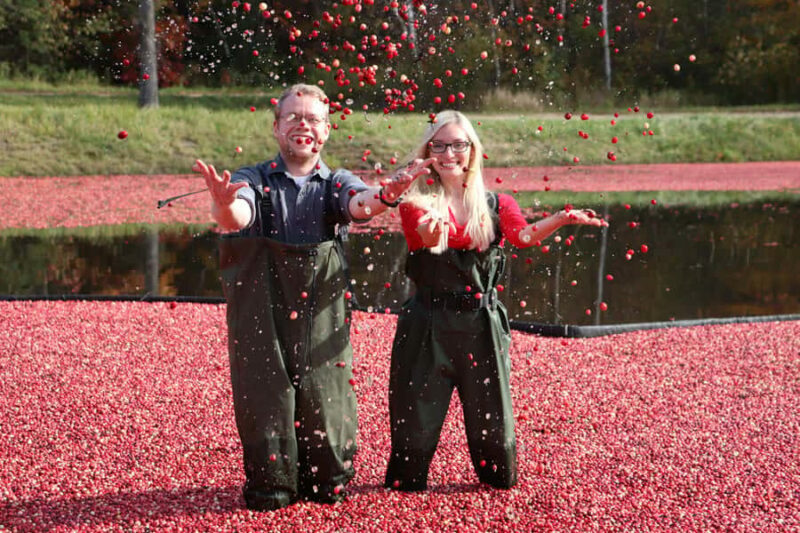 Toronto: Muskoka Cranberry Farm and Hardy Lake Hike - Key Points