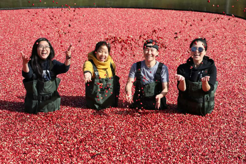Toronto: Muskoka Cranberry Farm and Hardy Lake Hike - The Itinerary Breakdown: A Closer Look at the Day