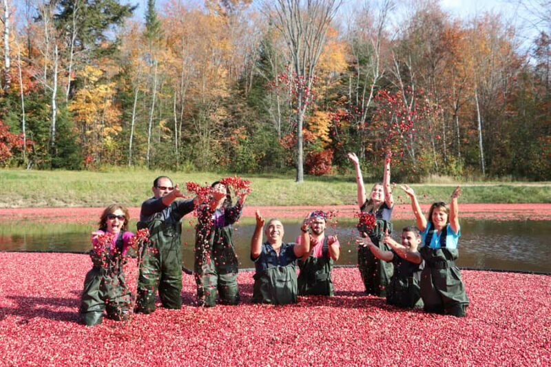 Toronto: Muskoka Cranberry Farm and Hardy Lake Hike - FAQ