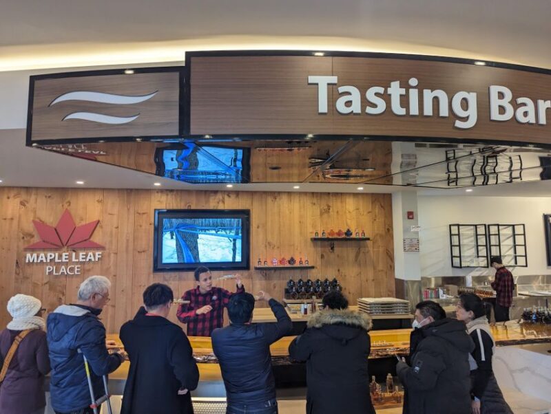 Toronto: Niagara Falls Evening Tour With Cruise and Dinner - Highlights