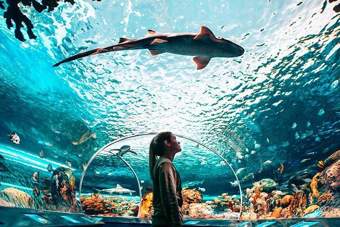 Toronto, Niagara Falls & Thousand Islands VIP 2–Day Trip - Thousand Islands Boat Tour