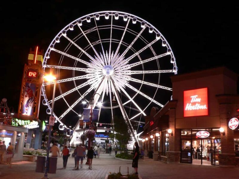 Toronto: Niagara Falls Tour with Boat Ride, Dinner, & Lights - Practical Tips for Travelers
