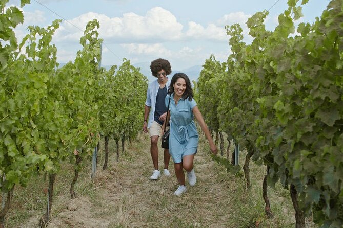 Toronto: Private Wine Tasting Tour in Niagara-on-the-Lake - Tasting Itinerary