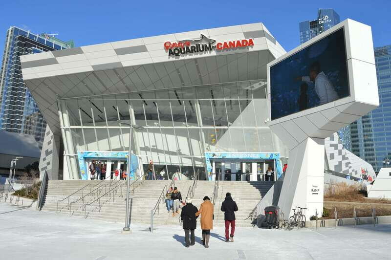 Toronto: Ripley's Aquarium of Canada Entry Ticket - Value and Practical Tips