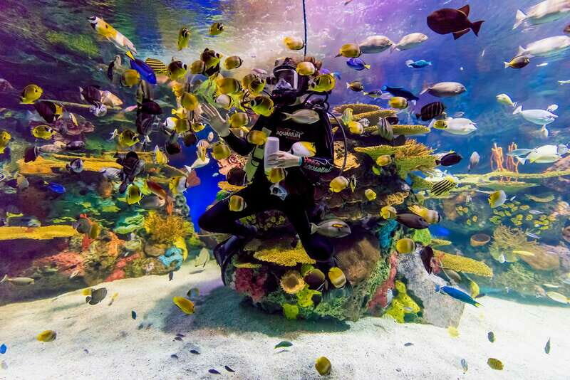 Toronto: Ripley's Aquarium of Canada Entry Ticket - Authentic Experiences from Visitors