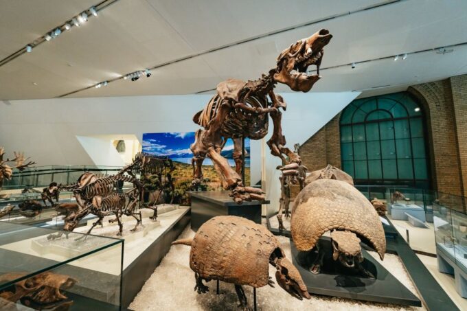 Toronto: Royal Ontario Museum Admission Ticket - Reserve and Visit