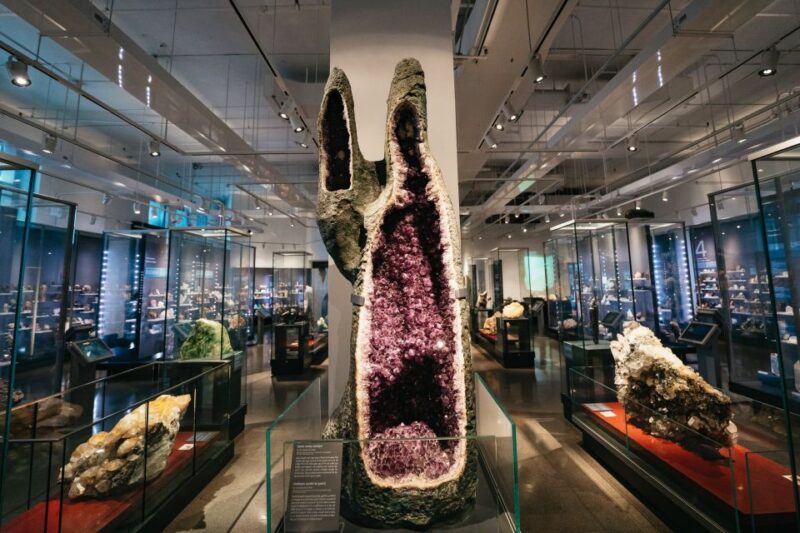 Toronto: Royal Ontario Museum Admission Ticket - Visitor Experience and Reviews