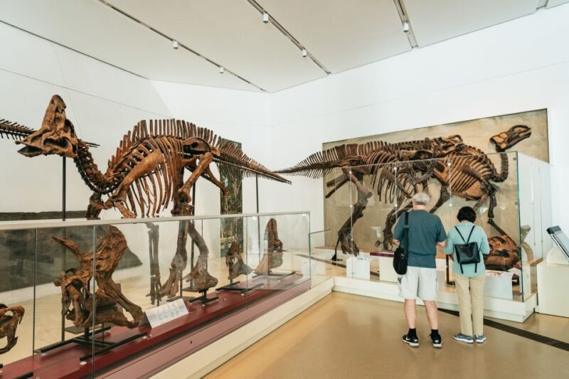 Toronto: Royal Ontario Museum Admission Ticket - Photography and Recording
