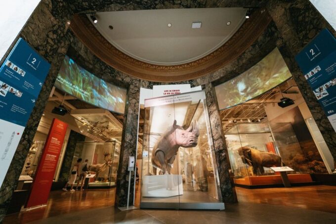 Toronto: Royal Ontario Museum Admission Ticket - Additional Details