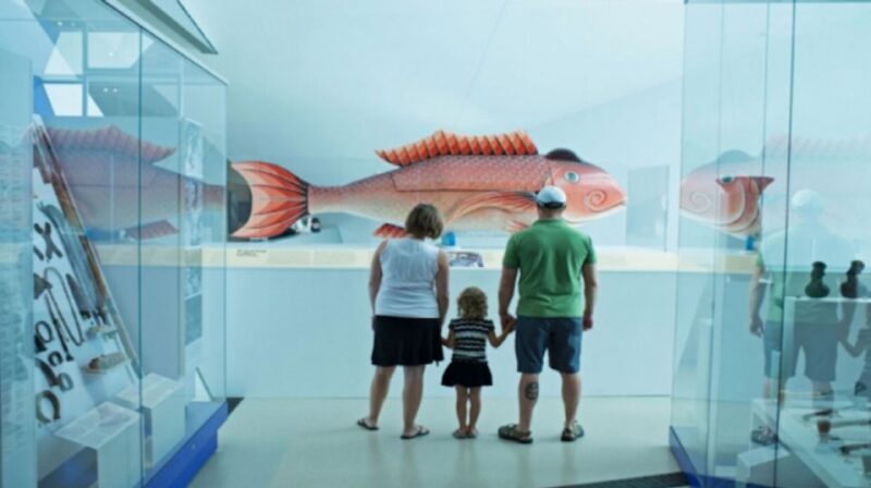 Toronto: Royal Ontario Museum Special Exhibits Voucher - Visitor Information