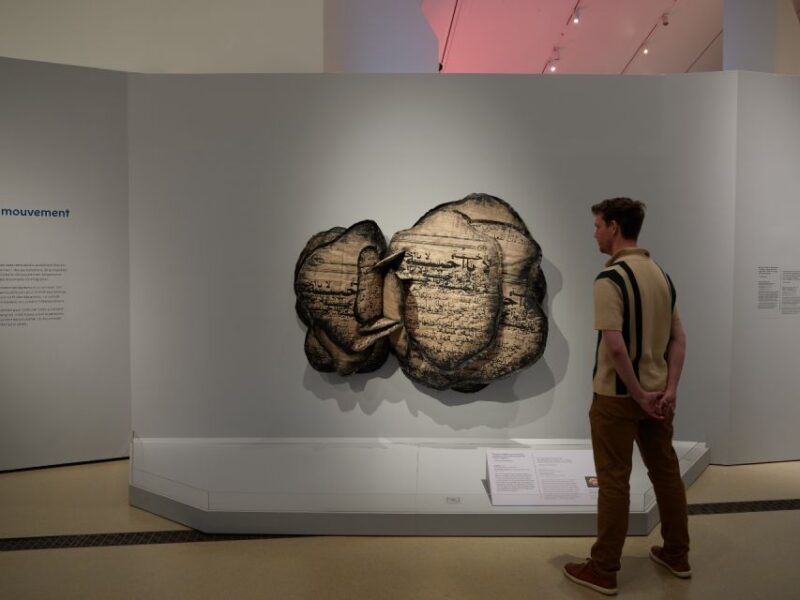 Toronto: Royal Ontario Museum Special Exhibits Voucher - Visitor Tips