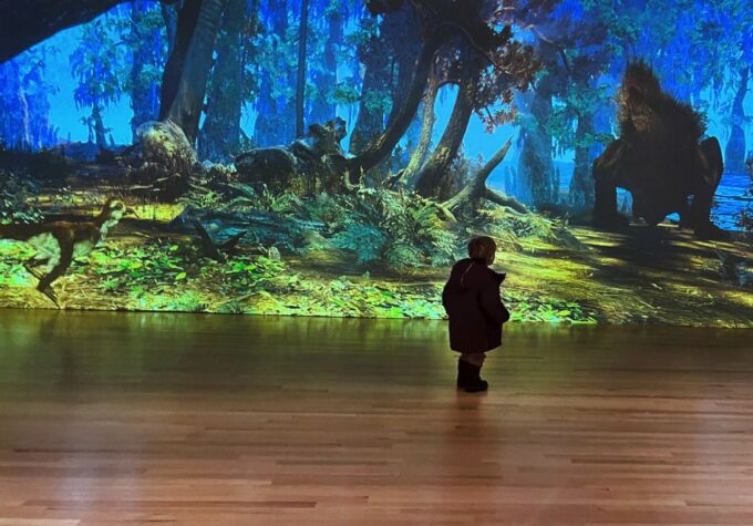 Toronto: Royal Ontario Museum Special Exhibits Voucher - Review Highlights