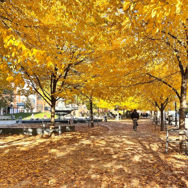 Toronto: Show Me the City! - Engaging With the Guide