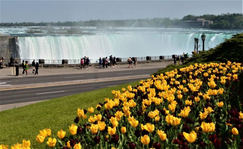 Toronto: Small-Group Niagara Falls Day Trip - Itinerary and Activities