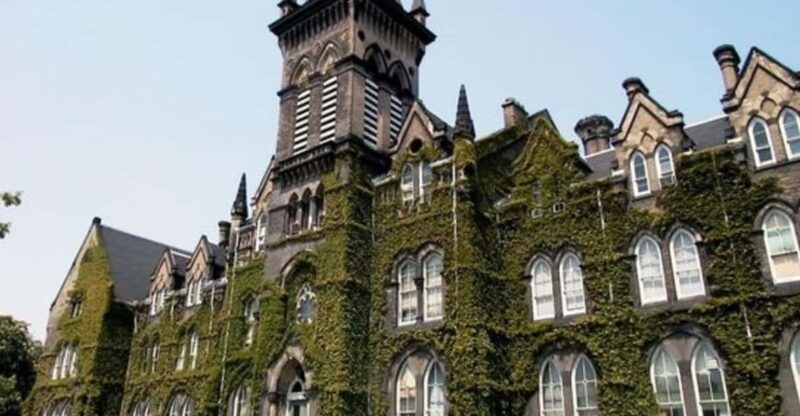 Toronto : Street Art Walking Tour With A Guide - Inclusions and Exclusions