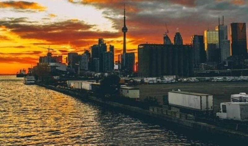 Toronto : Street Art Walking Tour With A Guide - Local Insights and Recommendations