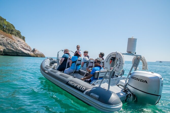 Torquay Coastal RIB Seafari - Tour Details