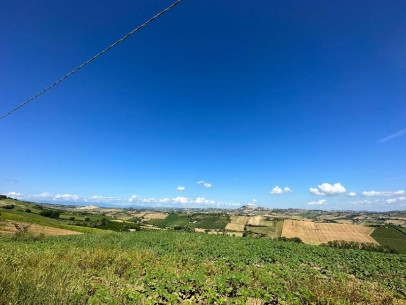 Torre Di Palme: E-Bike Tour Panoramas and Legends - Tour Details