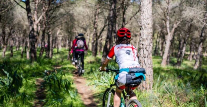 Torregrande Marina Bike Tour - Tour Experience