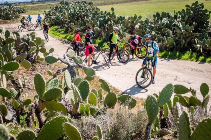 Torregrande Marina Bike Tour - Breathtaking Viewpoints and Nature Immersion