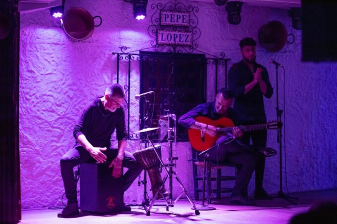 Torremolinos: Flamenco Show With Drinks - Performer Expertise