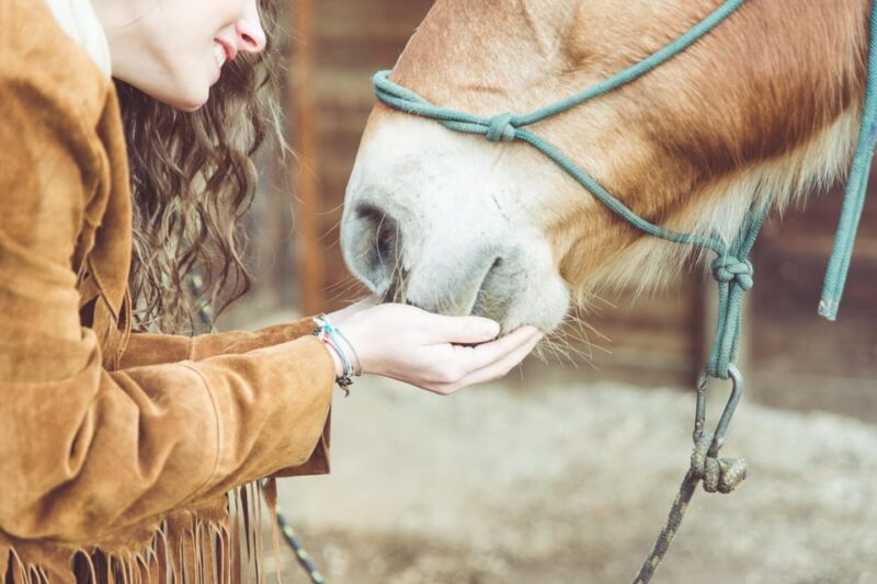 Torremolinos: Guided Tour to the Stables of El Ranchito - The Ritmo a Caballo Experience