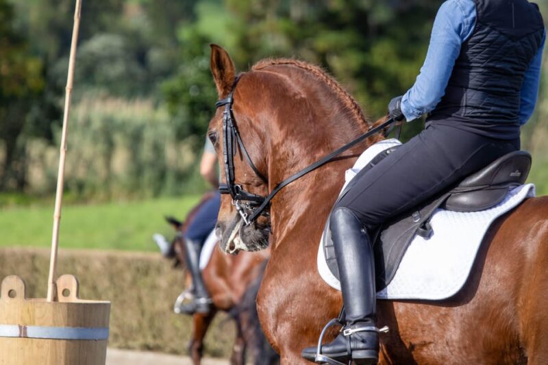 Torremolinos: Guided Tour to the Stables of El Ranchito - Language Options for the Tour