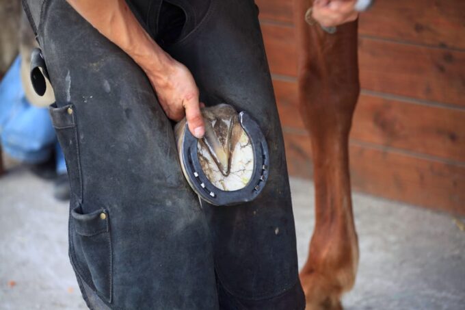 Torremolinos: Guided Tour to the Stables of El Ranchito - FAQ