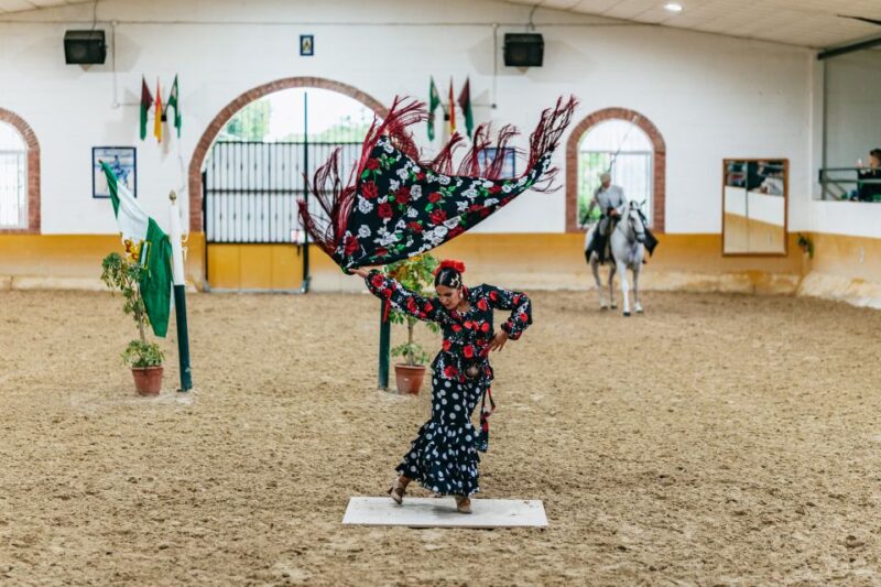 Torremolinos: Horse Show, Dinner Option, Drinks, & Flamenco - Optional Workshop and Dinner