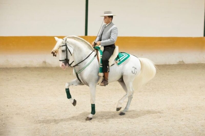 Torremolinos: Horse Show, Dinner Option, Drinks, & Flamenco - Transportation Details