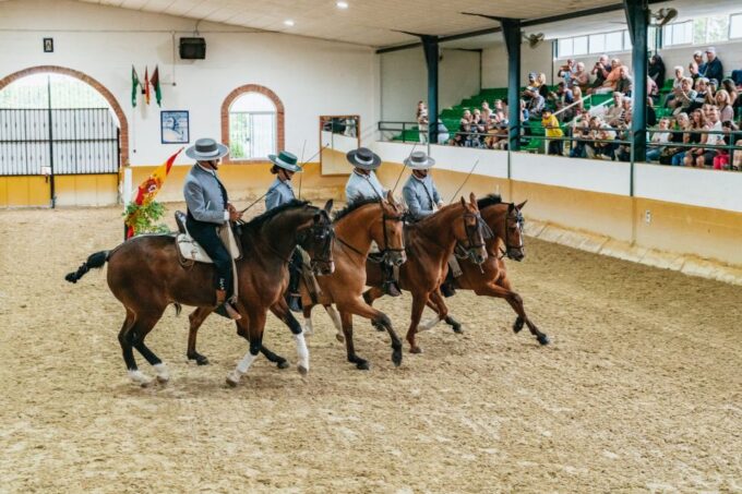 Torremolinos: Horse Show, Dinner Option, Drinks, & Flamenco - Included and Optional Offerings