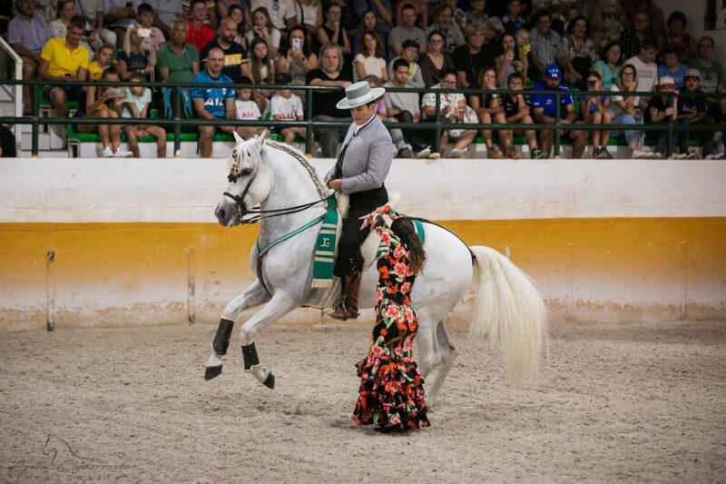 Torremolinos: Spanish Horse Show and Flamenco Option With Dinner - Dinner Menu for Adults
