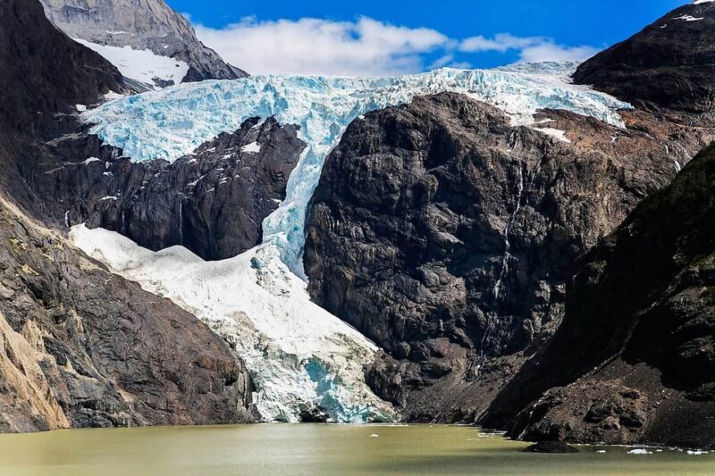 Torres Del Paine Day Trip From El Calafate - Customer Reviews and Feedback