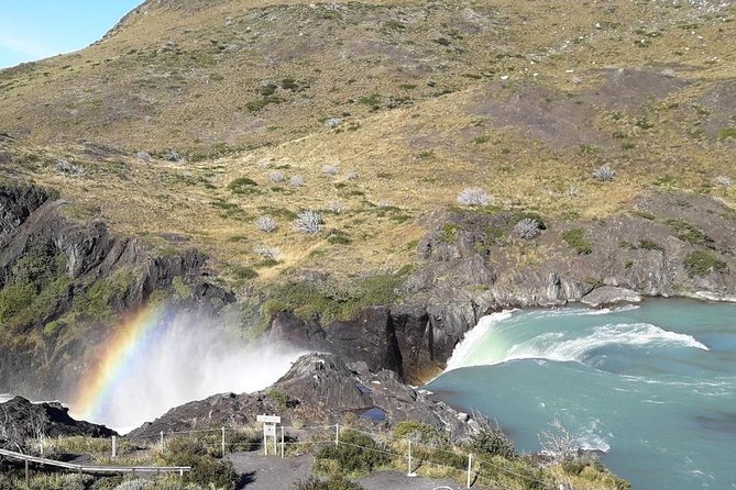Torres Del Paine National Park - Parks Diverse Flora and Fauna