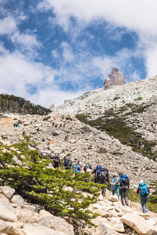 Torres Del Paine: O Circuit in Camping (7 Days) - Day 5: Grey Camp