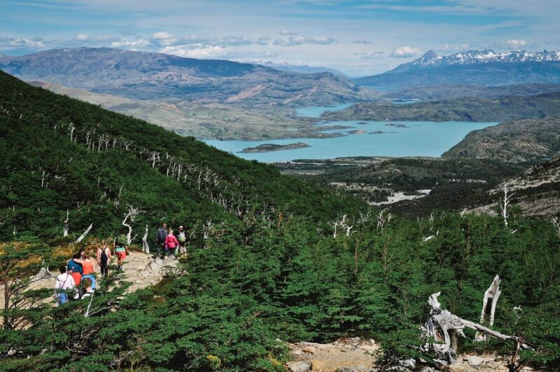 Torres Del Paine: W Circuit in Camping (5 Days) - Inclusions and Accommodations