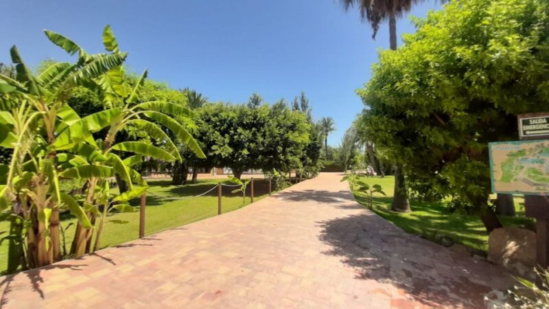 Torrevieja: Aquopolis Water Park Entry Ticket - Visitor Experiences and Reviews