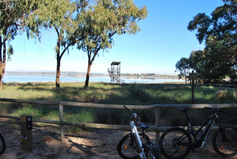 Torrevieja: Natural Parks E-Bike Tour - Inclusions