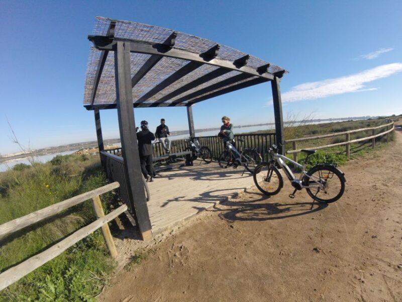 Torrevieja: Natural Parks E-Bike Tour - Participant Restrictions